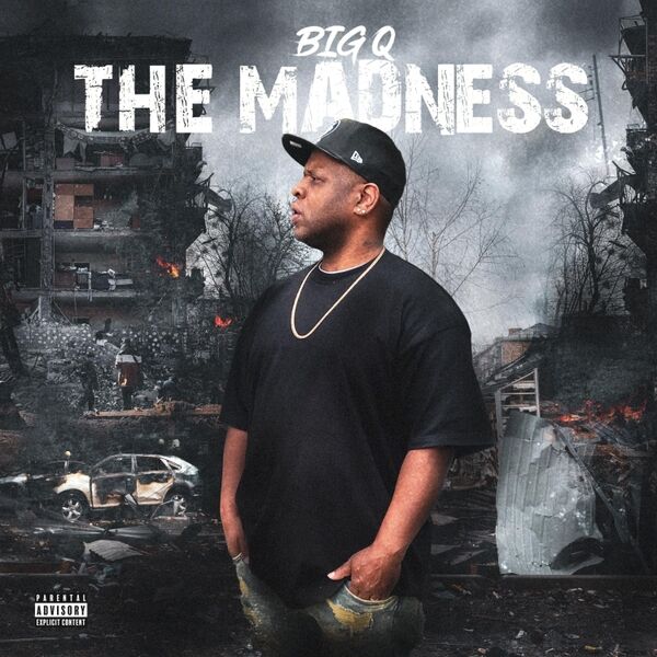Cover art for The Madness